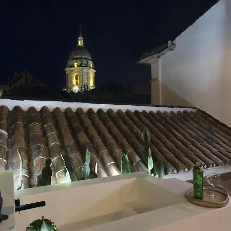 Old Center Penthouse * Málaga