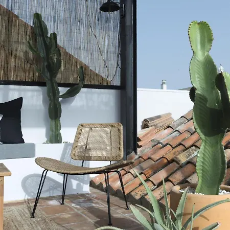 Old Center Penthouse Apartment